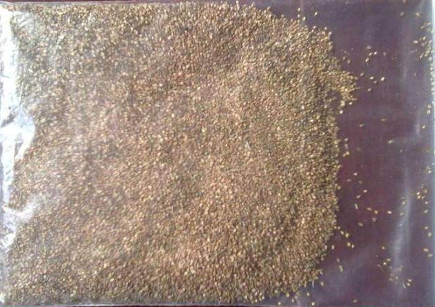 長沙東日園林工程有限公司,長沙園林綠化工程,長沙綠化養(yǎng)護管理